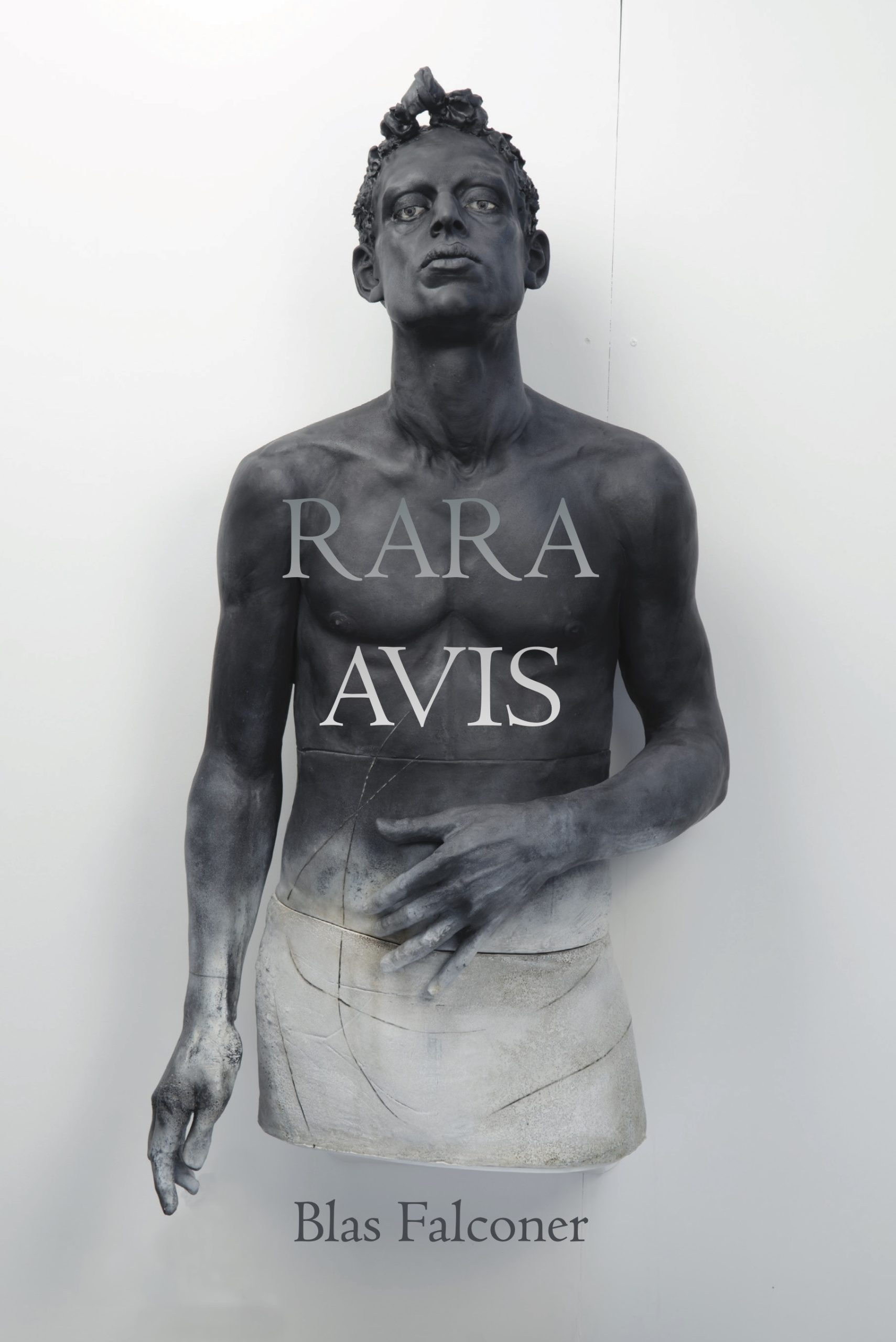 Falconer_Front-Cover-scaled-1